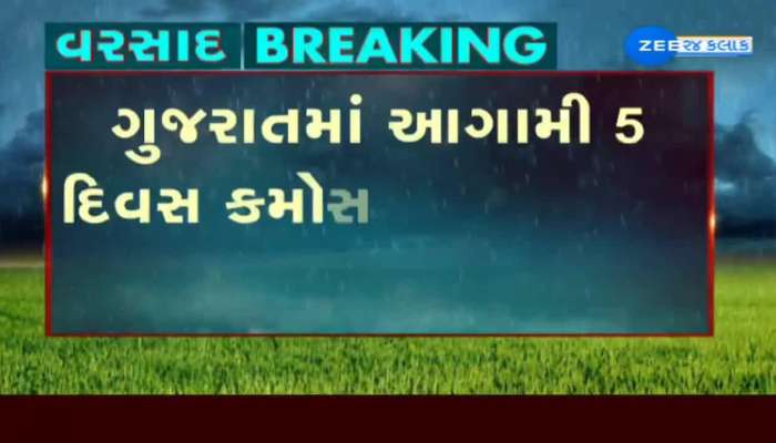 રાજ્યમાં આગામી 5 દિવસ ગાજવીજ સાથે કમોસમી વરસાદ થવાની હવામાન વિભાગની આગાહી 