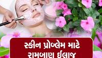 બ્યુટી ટિપ્સ! ચહેરાને ચમકાવી દેશે આ બારમાસીનું ફૂલ, ઢળતી ઉંમરમાં પણ નહી દેખાય કરચલી 