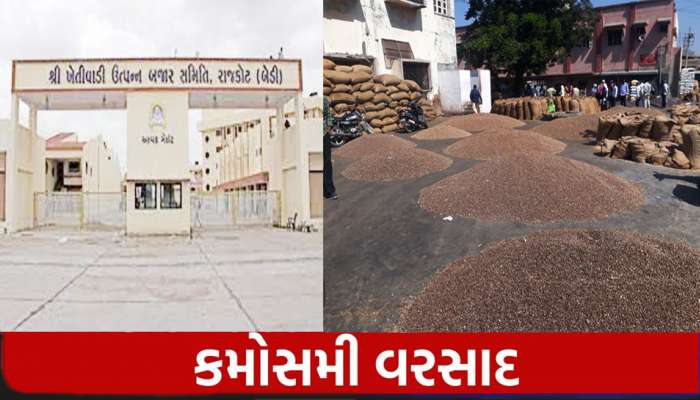 કમોસમી વાતાવરણ વચ્ચે માર્કેટ યાર્ડ એલર્ટ! રાજકોટ યાર્ડમાં ટોકન આધારે જ જણસીની આવક