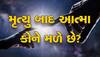 Near Death Experiences: મૃત્યુ બાદ શું? આત્મા કોને કોને મળે છે? વૈજ્ઞાનિકે કર્યો ચોંકાવનારો દાવો