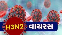 કોરોનાની જેમ ઘાતક બની રહ્યો છે H3N2 વાયરસ, આ રાજ્યમાં સ્કૂલો બંધ રાખવાનો નિર્ણય