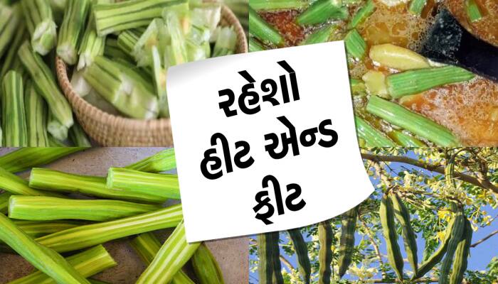 Health Care: આર્યુવેદમાં અમૃત સમાન ગણાય છે આ વસ્તુ, સૂપ બનાવો કે શાક, તમારી ઇચ્છા