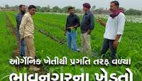 વડાપ્રધાન મોદીની એક સલાહે આ ગુજરાતી ખેડૂતને લખપતિ બનાવ્યા