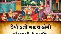 ઐય્યાશી માટે બાદશાહો રાખતા કેવી વ્યવસ્થા? અનેક સ્ત્રીઓ સાથે કઈ રીતે માણતા શરીર સુખ?