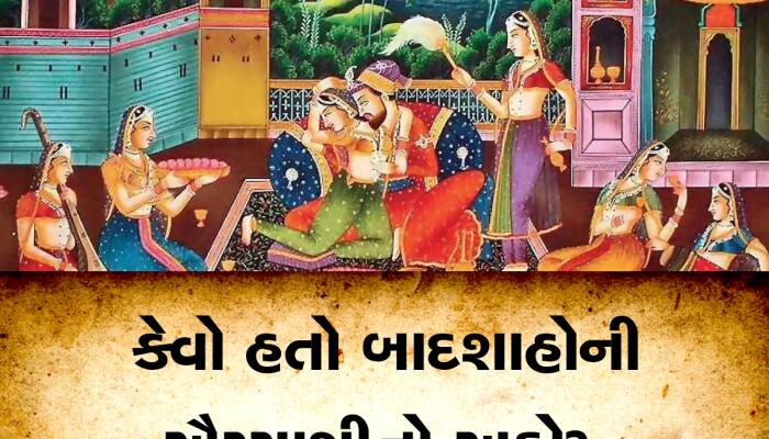 ઐય્યાશી માટે બાદશાહો રાખતા કેવી વ્યવસ્થા? અનેક સ્ત્રીઓ સાથે કઈ રીતે માણતા શરીર સુખ?