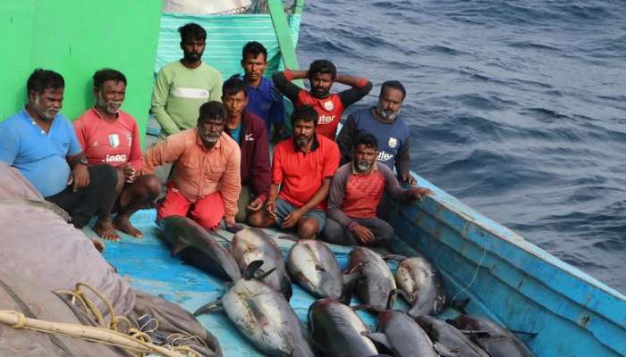 ગુજરાતના દરિયામાં ડોલ્ફીન-શાર્કનો શિકાર કરતી ગેંગ પકડાઇ, કોલ્ડરૂમમાં અનેક માછલીઓ મળી