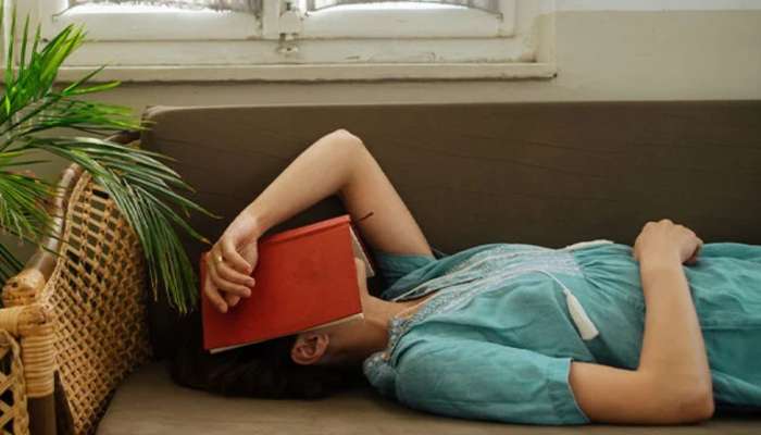 Day Nap: શું તમને પણ દિવસે ઊંઘવાની આદત છે તો ચેતી જજો! દિવસ દરમિયાન સૂવું તમને કરી શકે છે બરબાદ