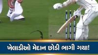 Video: ચાલુ મેચમાં હેલમેટ, ચશ્મા, ટોપી ઉડ્યા, જાણો કેમ ખેલાડી મેદાન છોડીને ભાગ્યા?