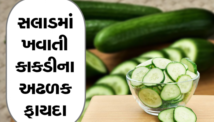 Benefits Of Cucumber: પેટને ઠંડક પહોંચાડવાની સાથે આ બીમારીમાં પણ કાકડી ફાયદાકારક, જાણીને ચોંકી જશો