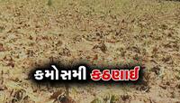 આ રીતે ખેડૂતોને ચૂકવાશે વળતર? અધિકારીઓ AC ચેમ્બરમાં બેસી કરી રહ્યા છે સર્વેનું નાટક 