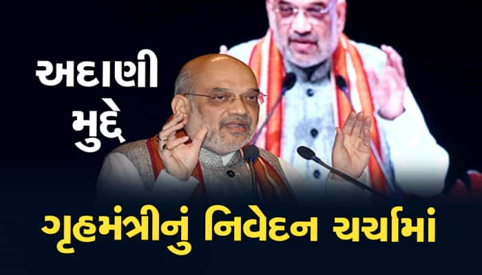 અદાણી-હિંડનબર્ગ કેસ પર અમિત શાહનો મોટો ખુલાસો, શું ખરેખર અદાણી પર કાર્યવાહી થશે?