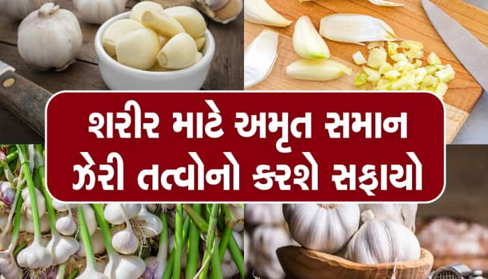 Summer Tips: ઉનાળામાં નહીં થાય આ બિમારીઓનો એટેક, સવારે ખાલી પેટ કરો ફક્ત આ એક કામ