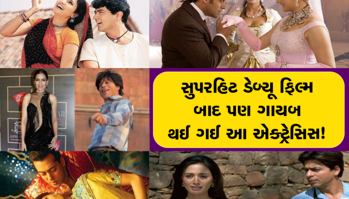 Flop Actress: બોલીવુડ એક્ટ્રેસિસ જે હિટ ફિલ્મ આપ્યા બાદ પણ જીવી રહી છે ગુમનામ જિંદગી