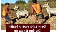 ગધેડાને વારંવાર થપ્પડ મારવા યુવકને પડ્યા મોંઘા, ગધેડાએ આપ્યો જડબાતોડ જવાબ