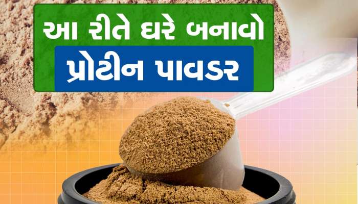 Work Out બાદ તમે કરો છો પ્રોટીન પાવડરનું સેવન, જીમ જનારા જાણો લો સેવનનો સાચો સમય
