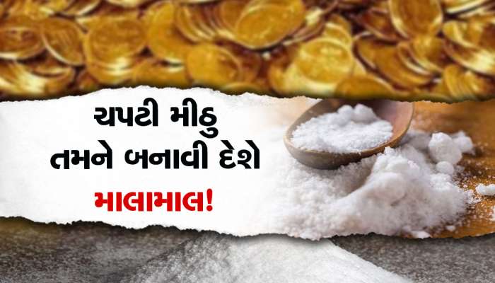 Astro Tips: મીઠાનો આ ઉપાય તમારું ભાગ્ય ચમકાવી દેશે, ઘરમાં ધનના ઢગલે ઢગલા થશે