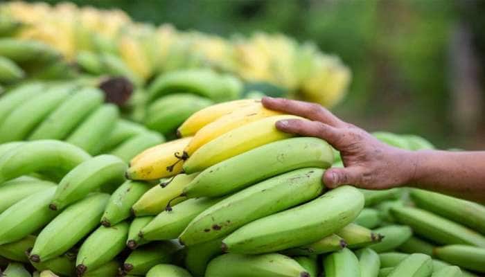 ડાયાબિટીસના દર્દીઓએ ખાવા જ જોઈએ કાચા કેળા, થાય છે આટલા લાભ