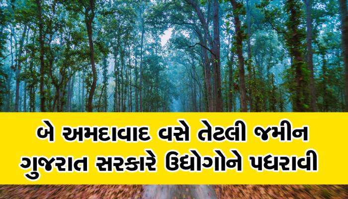 પહેલા ખોળાના દીકરાઓને ગુજરાત સરકારે પધરાવી દીધી અધધધ કરોડોની જંગલની જમીન