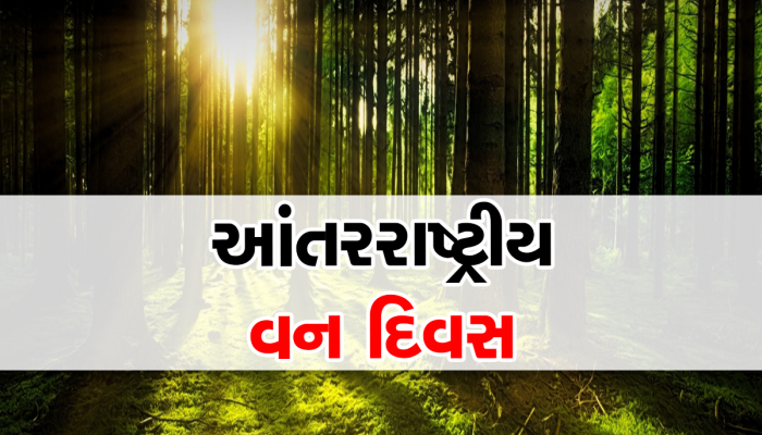 World Forest Day 2023: જાણો શું છે આંતરરાષ્ટ્રીય વન દિવસની થીમ અને ઇતિહાસ