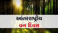 World Forest Day 2023: જાણો શું છે આંતરરાષ્ટ્રીય વન દિવસની થીમ અને ઇતિહાસ