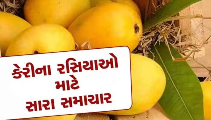 કેરીના રસિયાઓ માટે ખુશખબર:માર્કેટમાં કેસર કેરીના શ્રી ગણેશ, જાણો આ વર્ષે શું છે ભાવ?