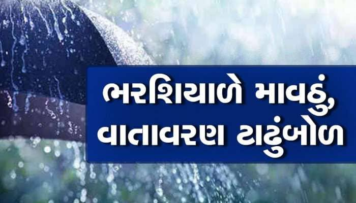 ગુજરાતમાં કઠોળ-શાકભાજીના ભાવમાં થશે ભડકો! ખેડૂતો રાતા પાણીએ રોવે તેવી સ્થિતિ!