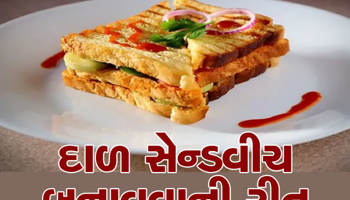 Dal Sandwich Recipe: દાળ વધી છે તો બનાવો ટેસ્ટી સેન્ડવીચ, પ્રોટીન રીચ બ્રેકફાસ્ટ બધાને પસંદ આવશે