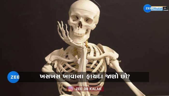 ખસખસ શરીર માટે છે ખાસ, ફાયદા જાણીને ચોંકી જશો 