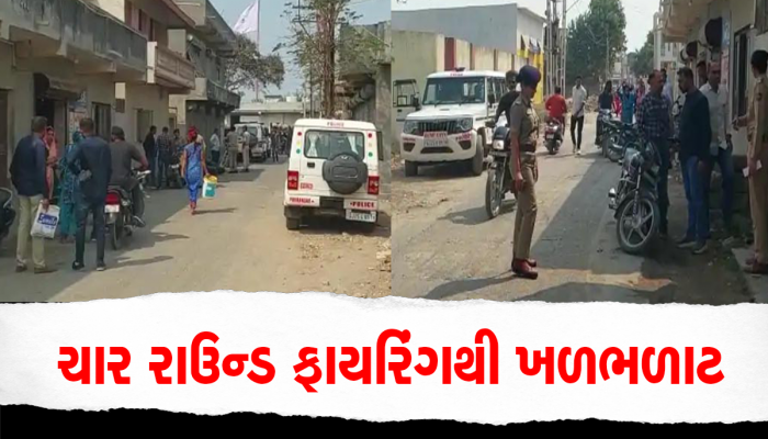 ભૂંડ પકડવા મુદ્દે બે ભાઈઓ વચ્ચે ખેલાયો લોહિયાળ જંગ, આખરે પોરબંદર LCBએ ઉકેલ્યો કેસ