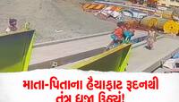 શ્રમિક પરિવારના 5 વર્ષના પુત્રને કૂતરાના ઝુંડે કરડી ખાધો, બચકાં ભરતાં પુત્રનું મોત