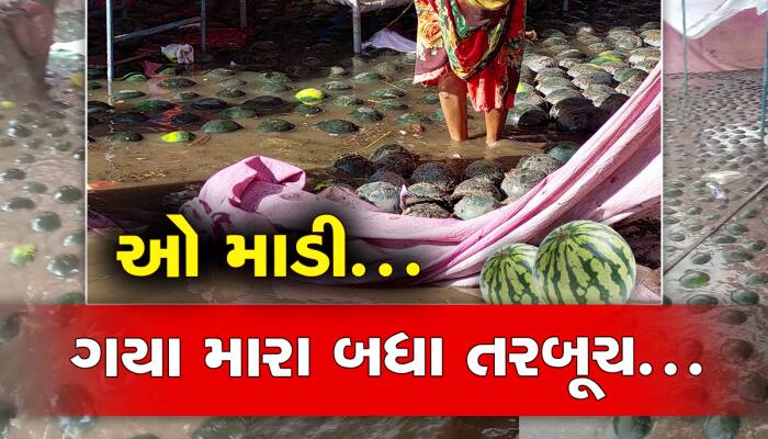 ગરીબ પરિવારના મજબૂરીના દ્રશ્યો : વરસાદમાં વહ્યાં તરબૂચ, આખી રાત ઉજાગરો કરી બચાવ્યા