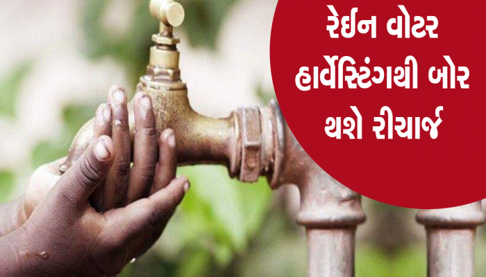 રંગીલા રાજકોટવાસીઓ માટે ઉનાળો રહેશે આકરો: 1200માંથી 400 બોરમાં પાણી જ નથી... 