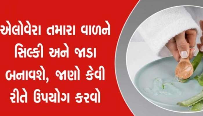 AloeVera: ખાલી જેલ નહીં ખાવામાં પણ કરો ઉપયોગ, આ છે સરળ ટિપ્સ, શરીરને થશે મોટા ફાયદા