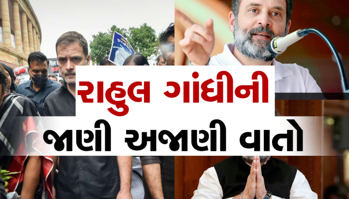 Education Qualifications: રાહુલ ગાંધી કેટલા શિક્ષિત છે? જાણો તેમની દહેરાદૂનથી  Harvard University સુધીની સંપૂર્ણ વિગતો