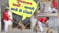 આને કહેવાય પાક્કી દોસ્તી, એકસાથે બેસીને જમે ગુજરાતના આ PSI અને કપિરાજોનું ટોળું