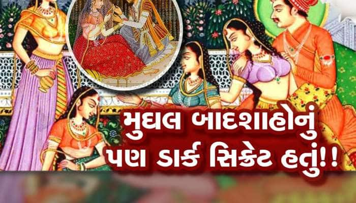 રાત રંગીન બનાવવા મુઘલ બાદશાહ આ ખાસ પ્રકારનું ભોજન ખાતા, જેનાથી રાણીઓ ખુશ થઈ જતી