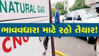 મોંઘવારીની મોટી થપાટ માટે રહો તૈયાર, 1 એપ્રિલથી વધશે CNG-PNG ગેસના ભાવ!