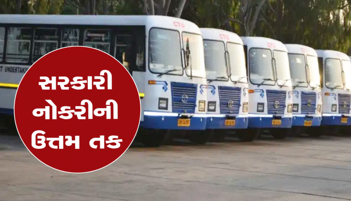 જલ્દી કરો! 10 અને 12 પાસ માટે ટ્રાન્સપોર્ટ વિભાગમાં બમ્પર વેકેન્સી, આજે જ કરો અરજી 