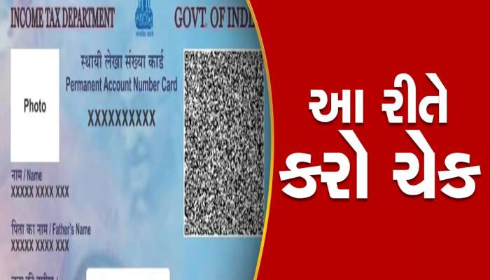 એલર્ટ! ક્યાંક નકલી નથીને તમારૂ Pan Card? માત્ર 1 મિનિટમાં પડી જશે ખબર, આ રીતે કરો ચેક