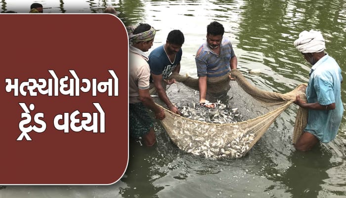 35 હજારની નોકરી છોડી મહિલાએ શરૂ કર્યું આ કામ,હવે કરી રહી છે વાર્ષિક ₹40 લાખનો બિઝનેસ