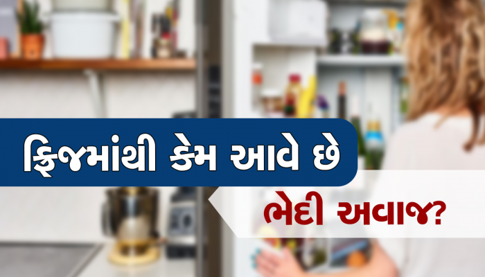 શું તમારા ફ્રિજમાંથી પણ આવે છે ભેદી અવાજ? તુરંત આ કામ કરો નહીં તો બોમ્બની જેમ ફૂટશે ફ્રિજ!