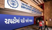 શું કંપની તમારા ખાતામાં પીએફના પૈસા જમા કરાવે છે કે નહીં? આ રીતે જાણો