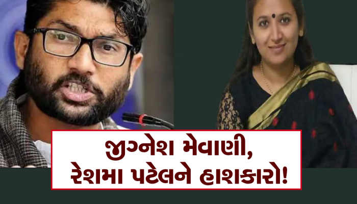 પાંચ વર્ષ જૂના કેસમાં જિગ્નેશ મેવાણી, રેશમા પટેલ સહિત 10 નિર્દોષ જાહેર, જાણો શું હતો સમગ્ર કેસ?