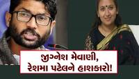 5 વર્ષ જૂના કેસમાં જિગ્નેશ મેવાણી, રેશમા પટેલ સહિત 10 નિર્દોષ જાહેર, જાણો શુ હતો કેસ