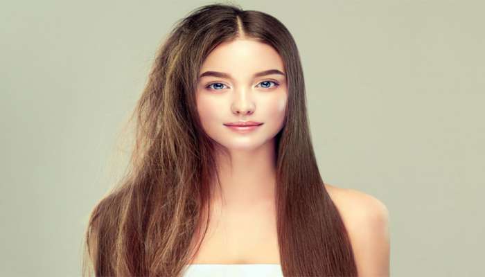 પાણીમાં આ વસ્તુ ઉમેરી લગાડો વાળ પર, Frizzy Hair ની ફરિયાદ થઈ જશે દુર, વાળ થઈ જશે silky