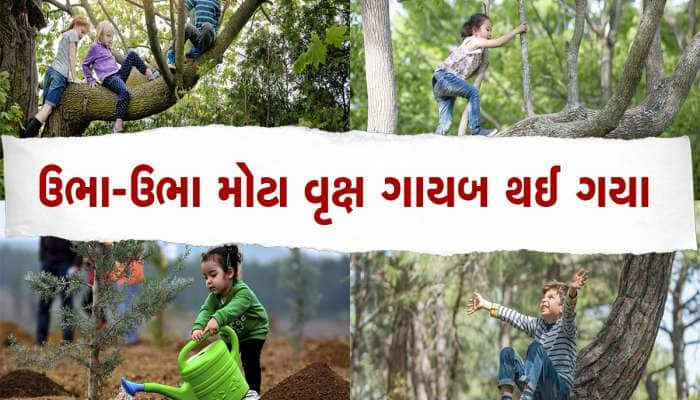 આ ગામમાં ઘરની બહાર બાળકો રમતા નથી, માતા-પિતાએ મૂક્યો છે પ્રતિબંધ, જાણો કારણ