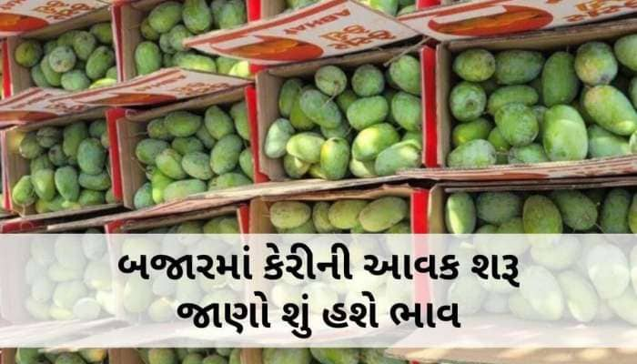 કેરીના રસિકો માટે મોટા ખુશખબર: માવઠાને કારણે ભાવ તળિયે બેઠા, કઈ કેરીનો શું છે ભાવ?