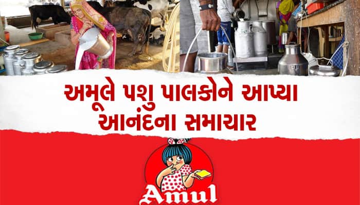 Amul એ પશુપાલકોની આપી મોટી ખુશખબરી : દૂધના ભાવમાં વધારો કર્યો, બીજી પણ મોટી જાહેરાત 