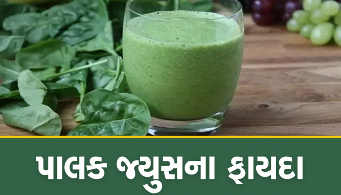 Palak Juice Benefits:બ્લડપ્રેશર સહિતની અનેક બીમારીઓને દૂર કરશે પાલકનો રસ, દરરોજ આ રીતે કરો સેવન 