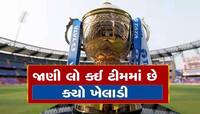 IPLના ઈતિહાસમાં સૌથી વધુ વિકેટ ઝડપનાર 5 બોલર, ત્રણ ભારતીય સ્પિનરોનો પણ છે દબદબો